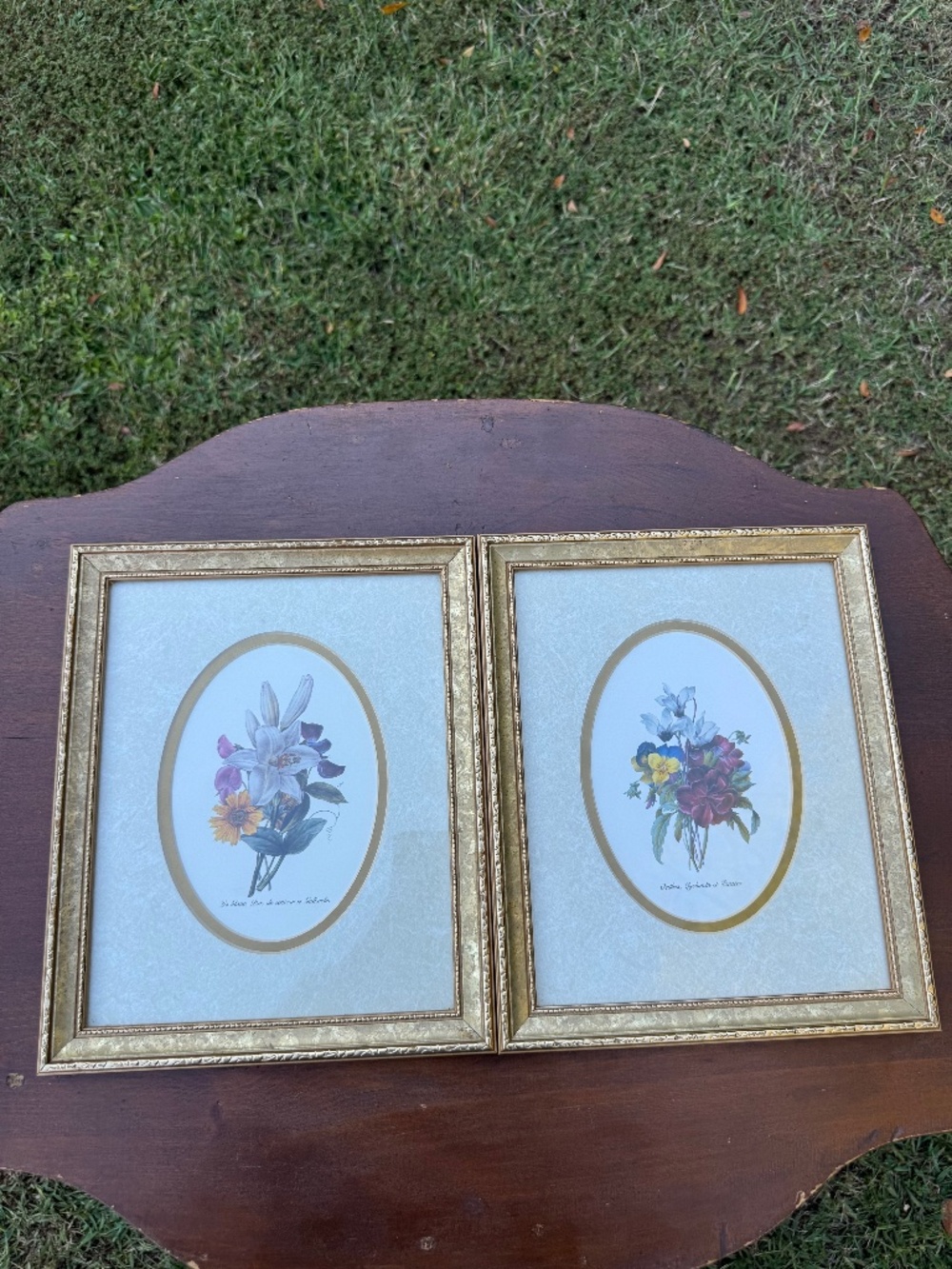 French Botanical Art Prints